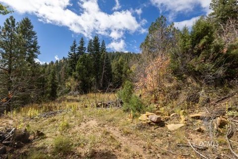Single Family Lot, Duck Creek Village, UT
