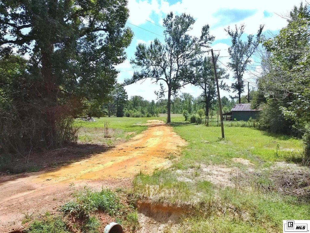 Picture 15