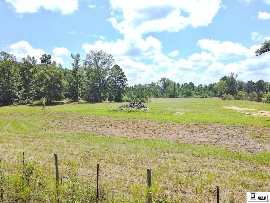 Picture 16