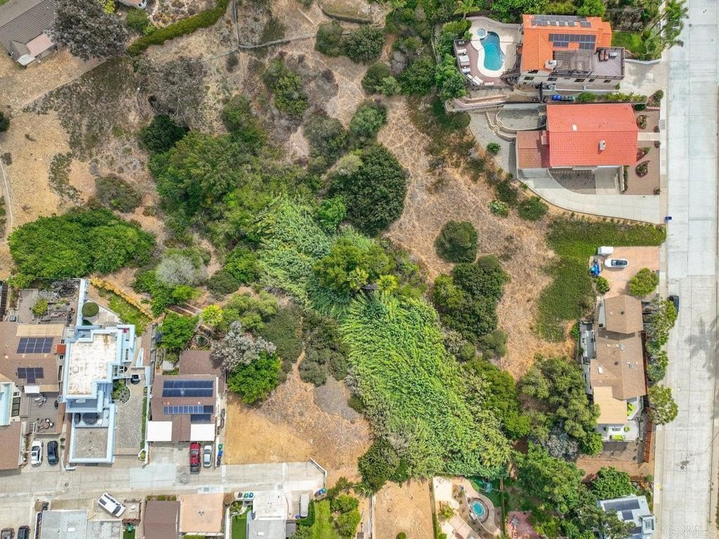 Picture 7