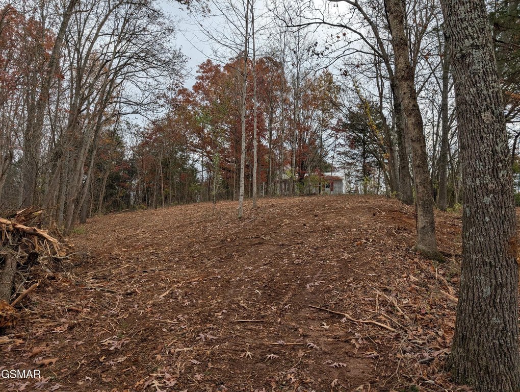 Picture 3