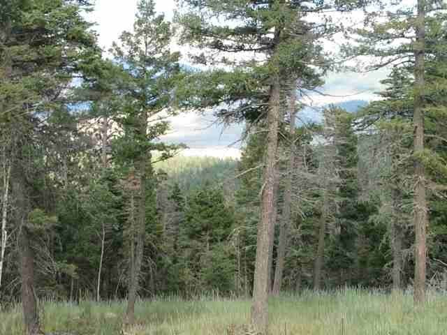 Land Parcel in Angel Fire