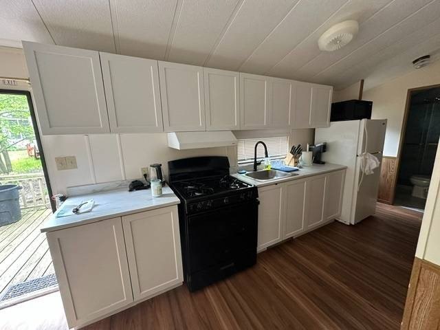 Picture 5