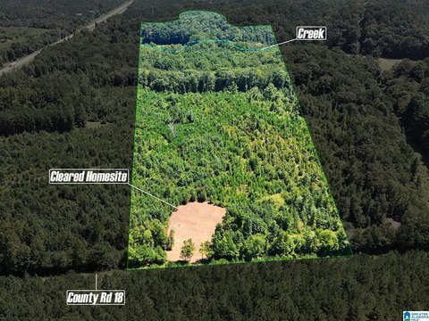 LAND/LOTS, HEFLIN, AL