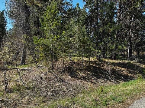 LAND - McCall, ID