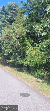 Waterview Lot on Cobb Island