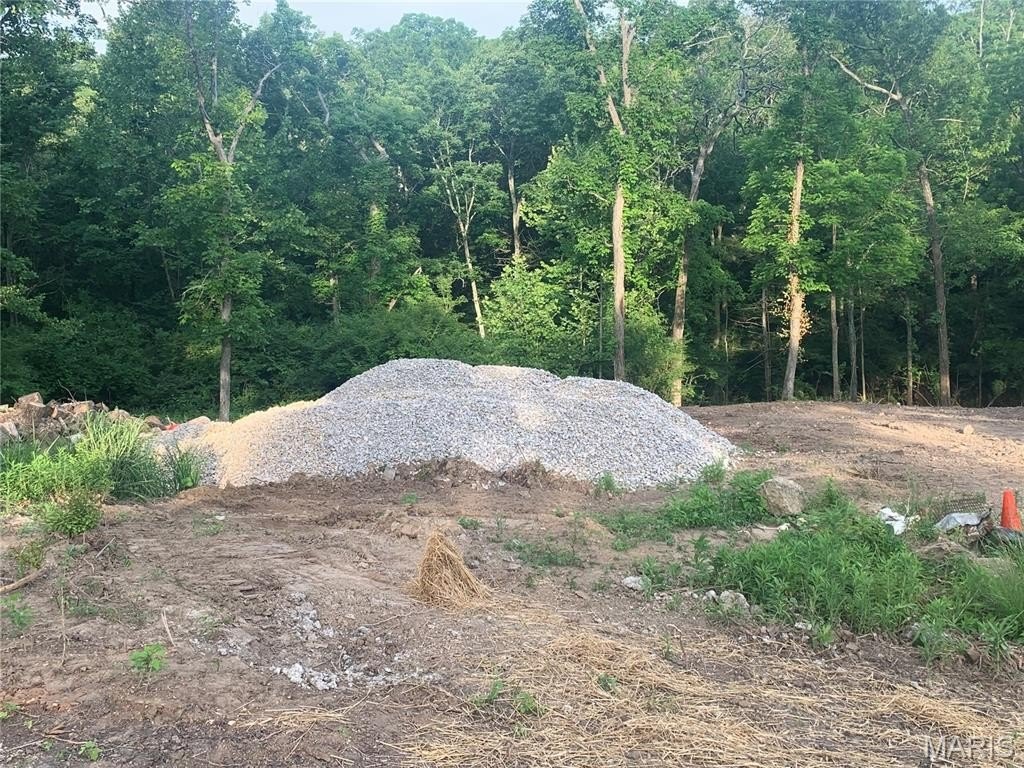 Picture 6