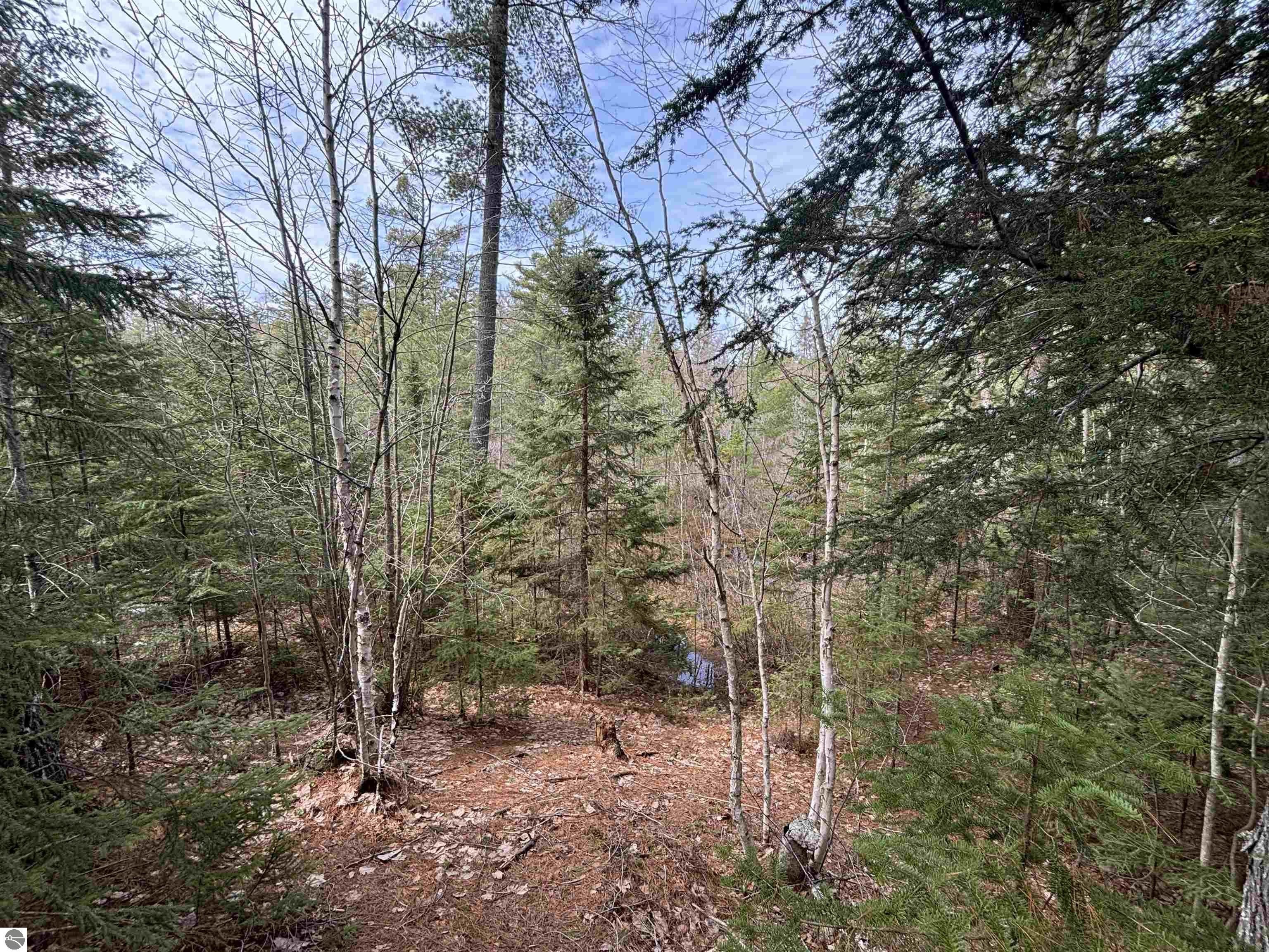 Secluded 280-Acre Hunting Land