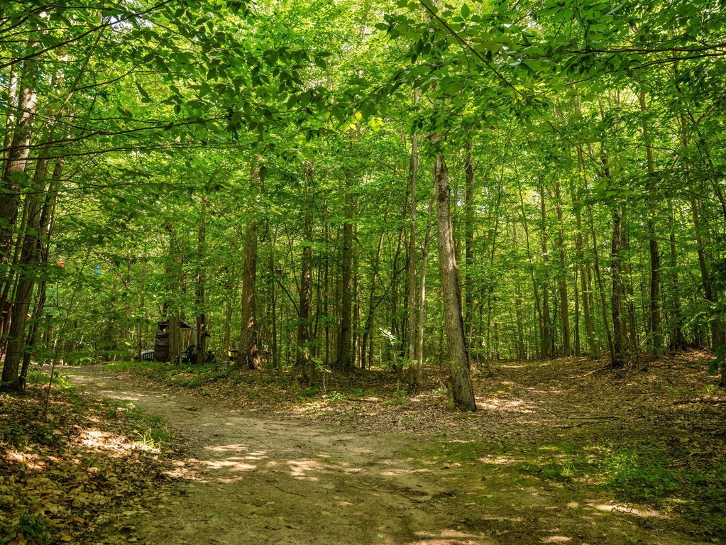 Picture 48