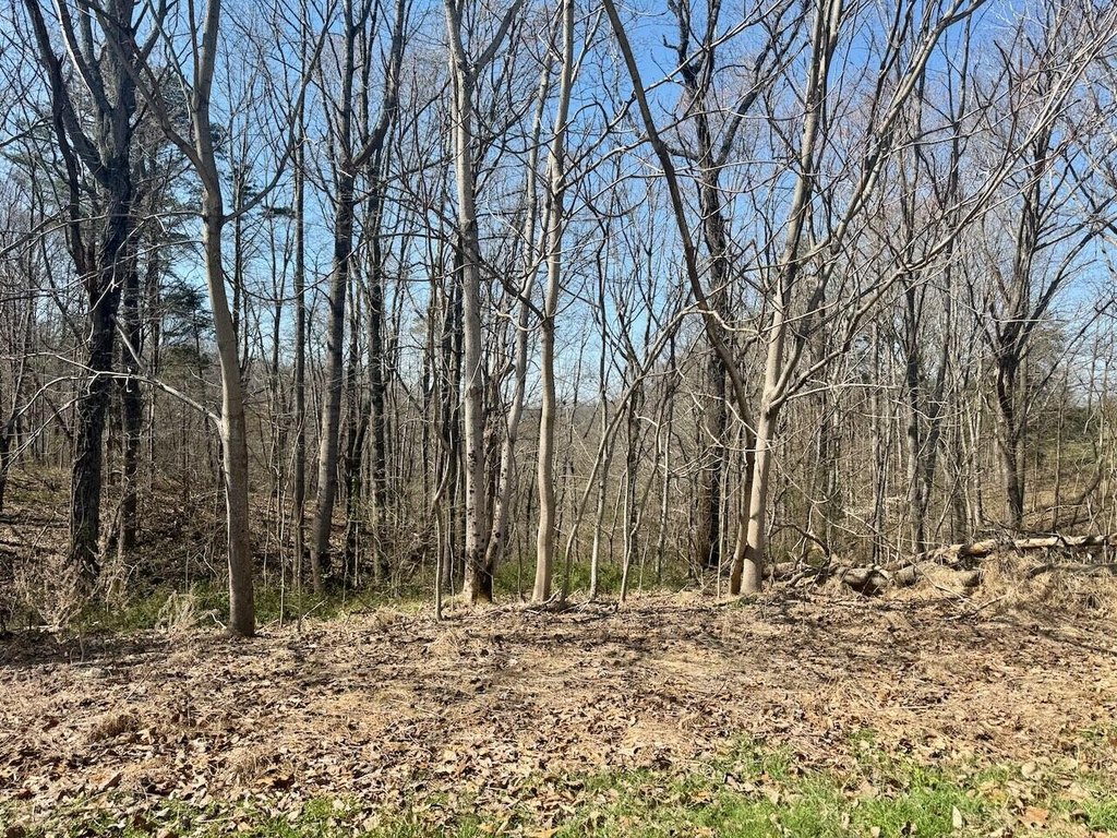 Picture 15