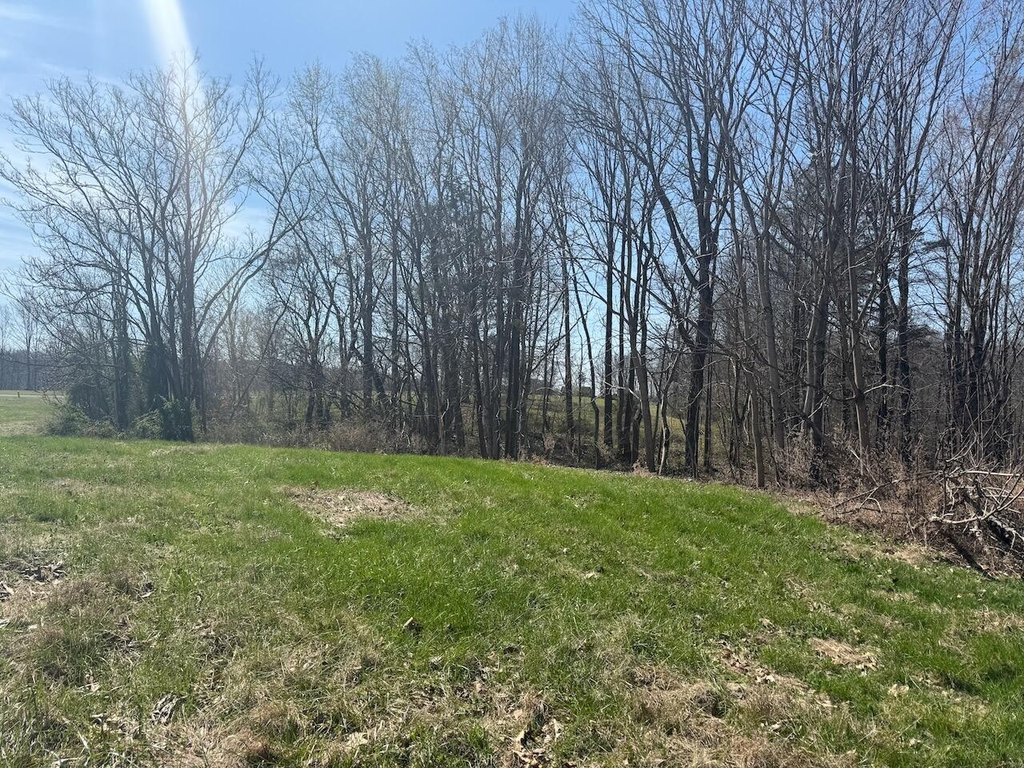 Picture 10