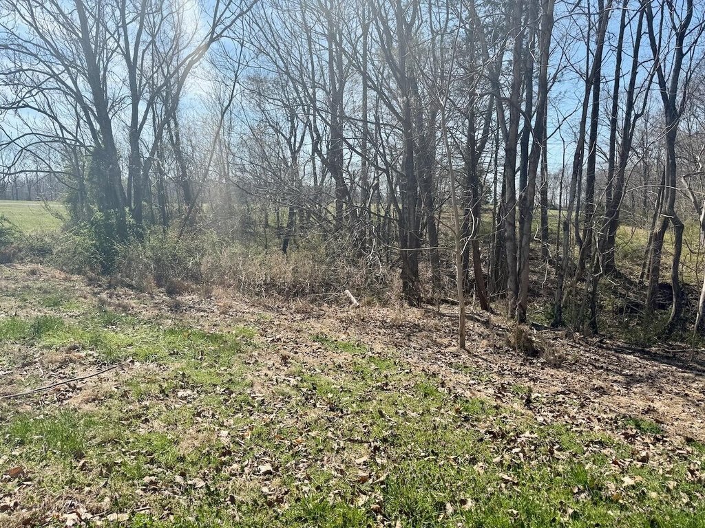 Picture 17