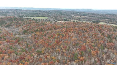 279 Acres of Versatile Land