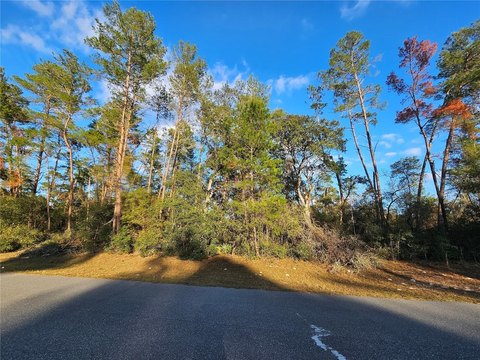 LAND - OCALA, FL