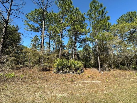 Citrus Springs Land Ready to Build
