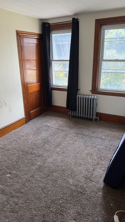 Picture 28