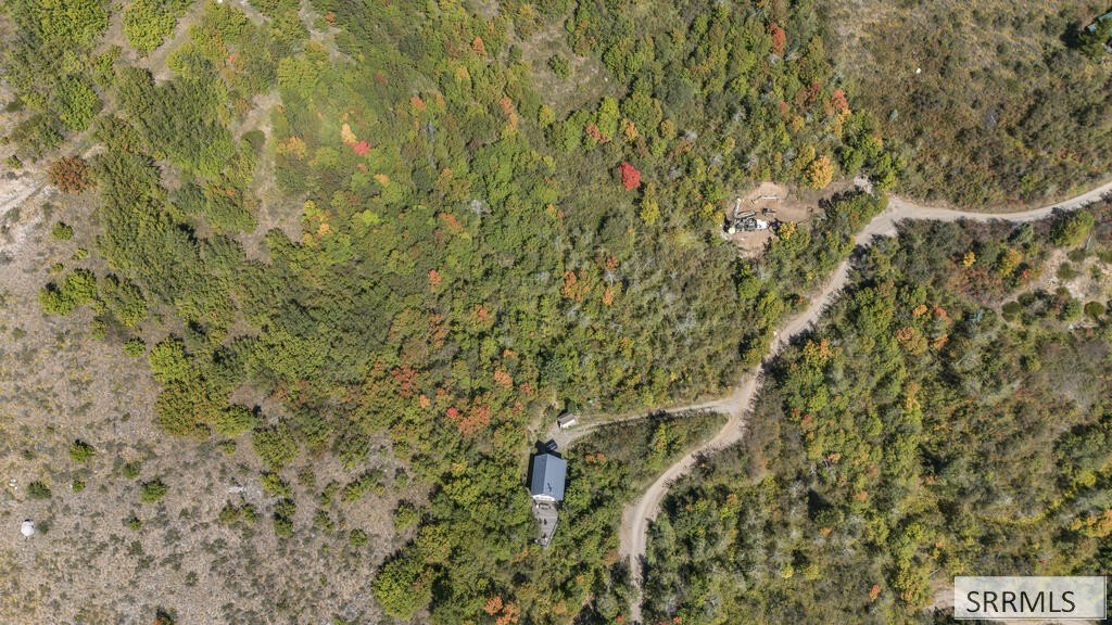 Picture 15