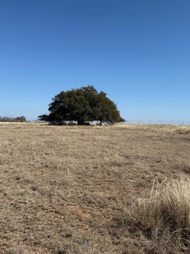 Texas Hill Country Land Parcel