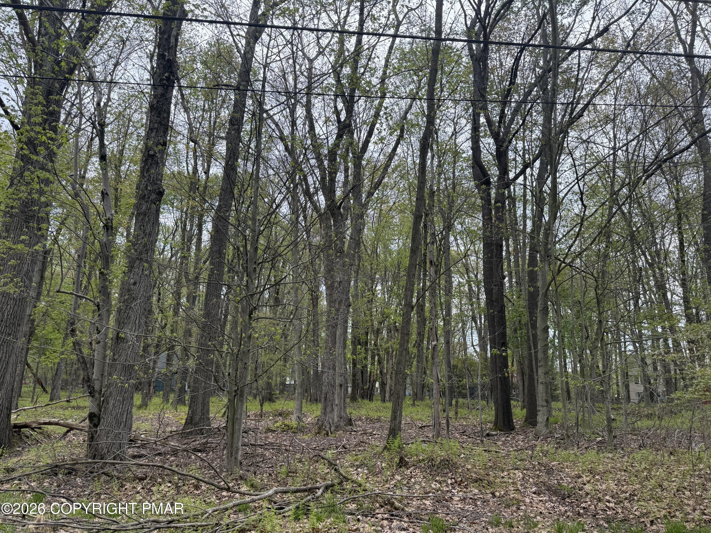 Arrowhead Lake Wooded Lot