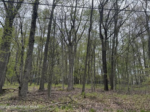 Land, Pocono Lake, PA