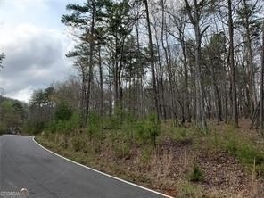 Residential Lot in Big Canoe