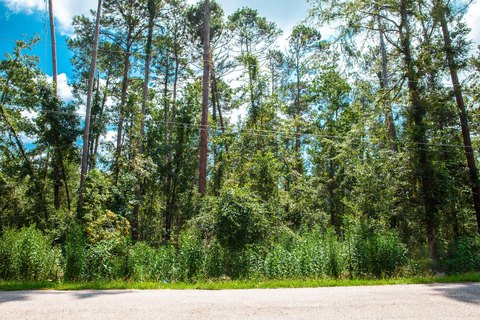 Acre Lot in Sumter Woods
