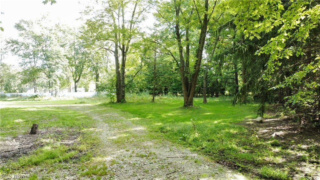 Picture 15