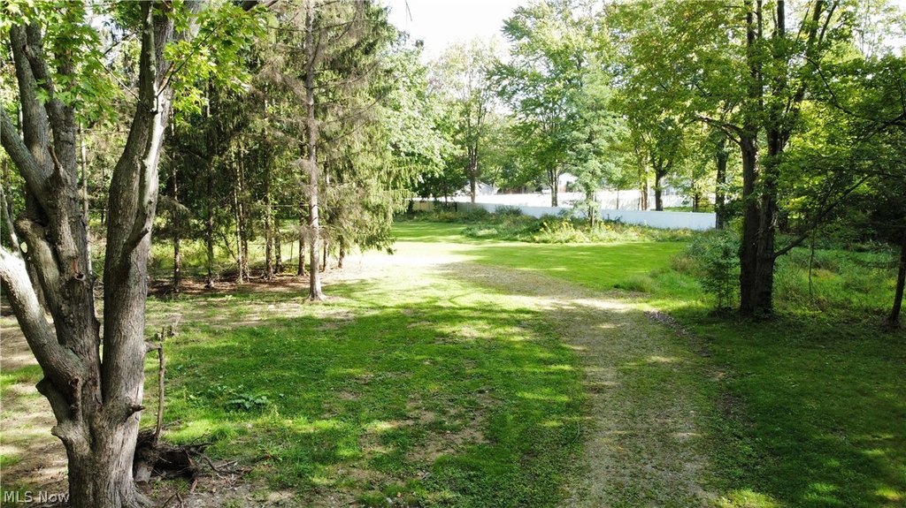 Picture 16