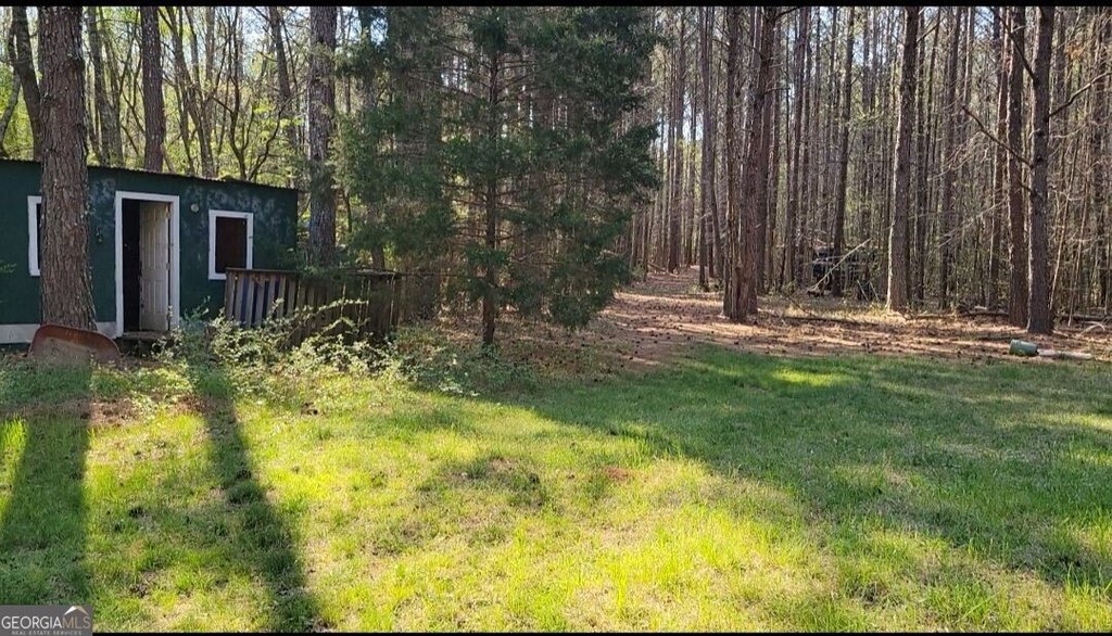 Picture 3