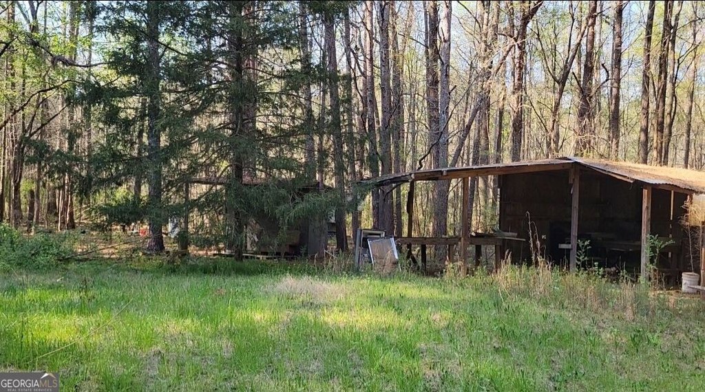 Picture 4