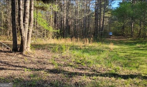 Wooded Hunting Land