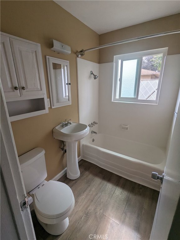 Picture 19
