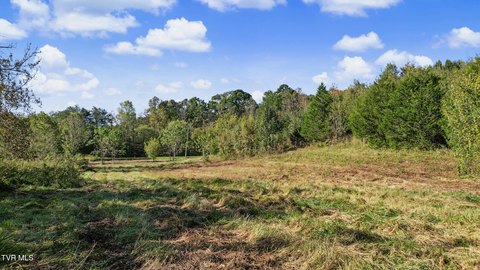 Land, Greeneville, TN