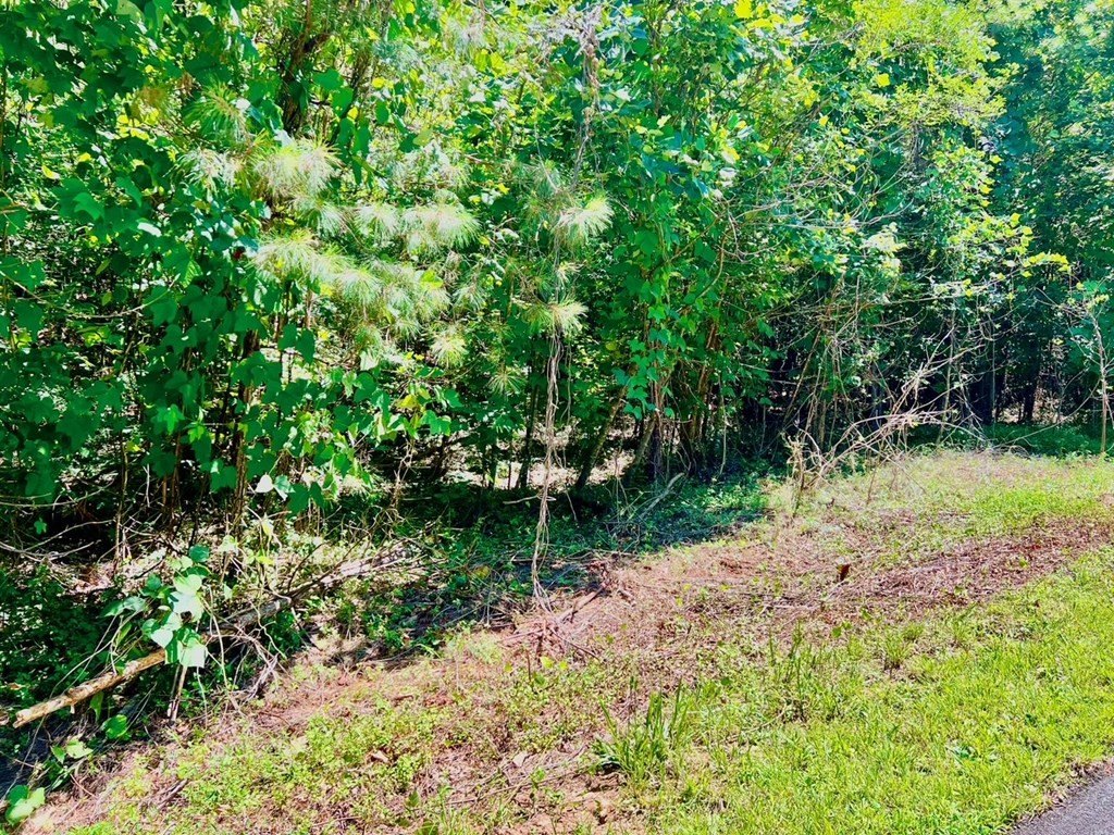 Picture 28