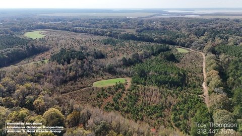 Hunting Land with Food Plots