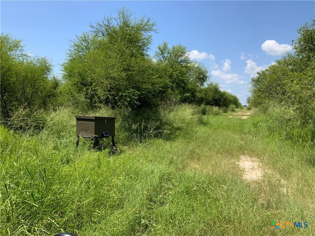 21 Acres of Texas Land