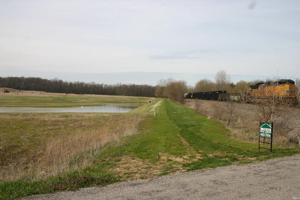 Picture 14