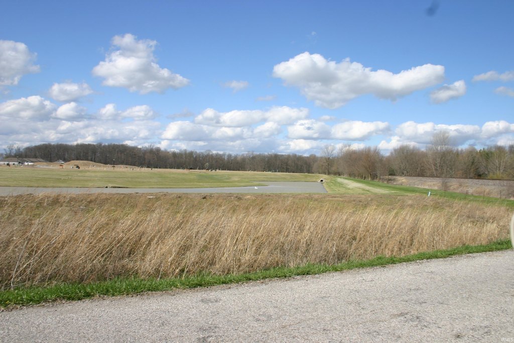 Picture 10
