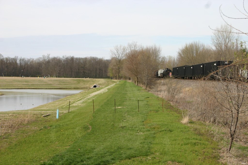 Picture 11