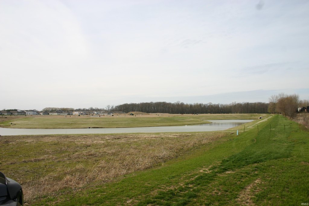Picture 12