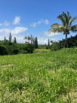 Cleared Lot in Discovery Harbour