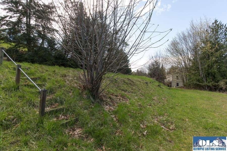 Picture 4