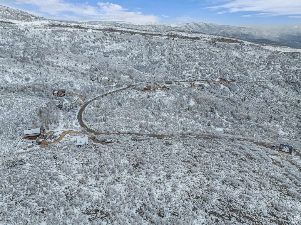 Picture 13