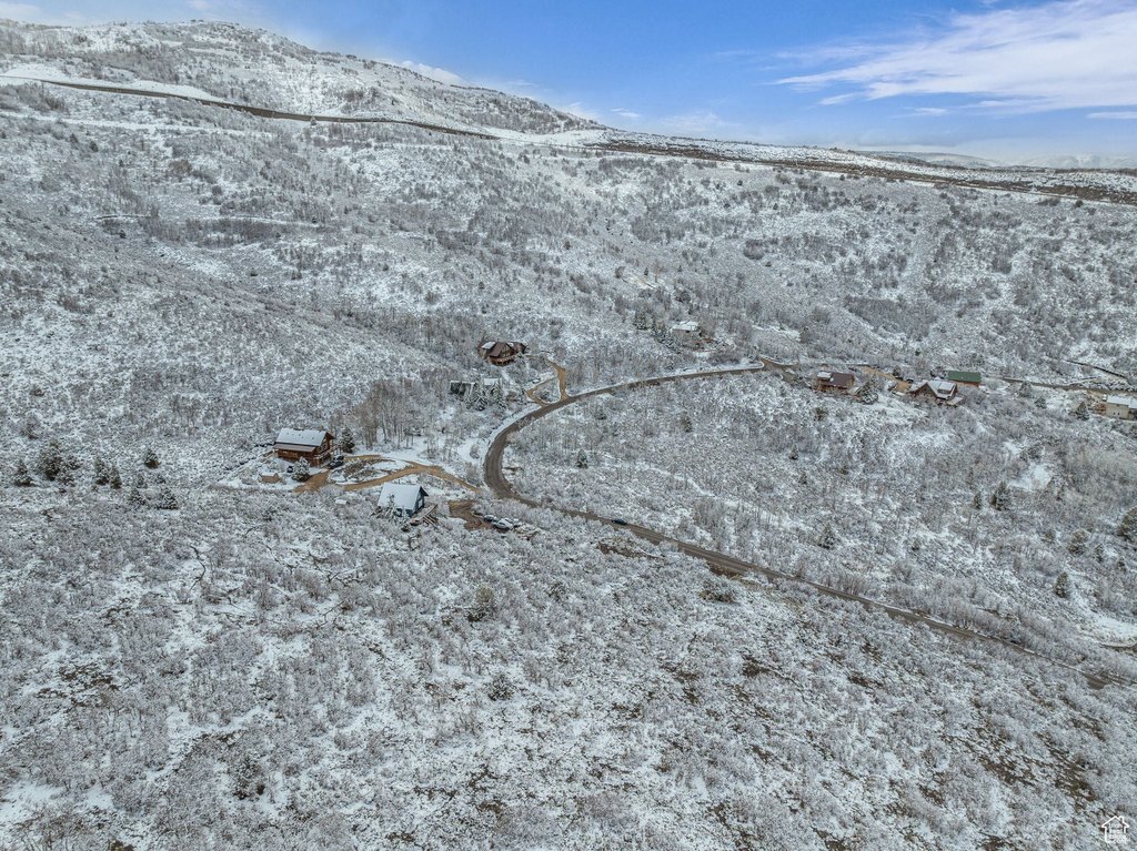 Picture 12
