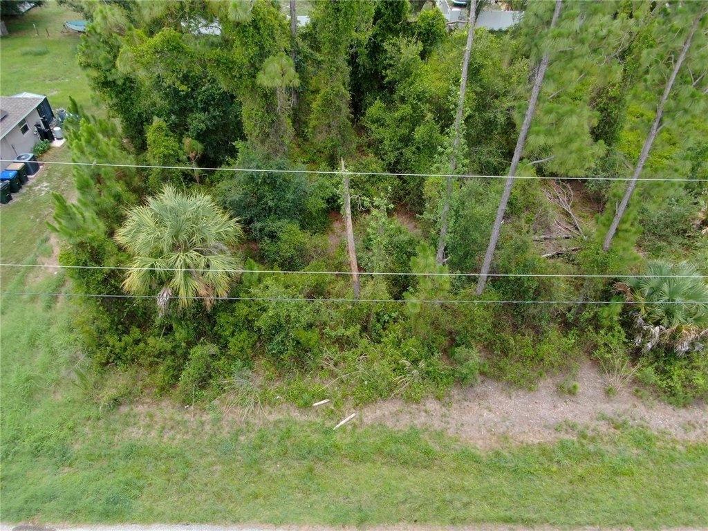 Picture 3