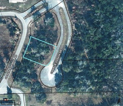 Residential Land in Wewahitchka, FL