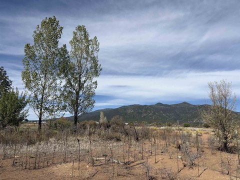 Land, Arroyo Seco, NM