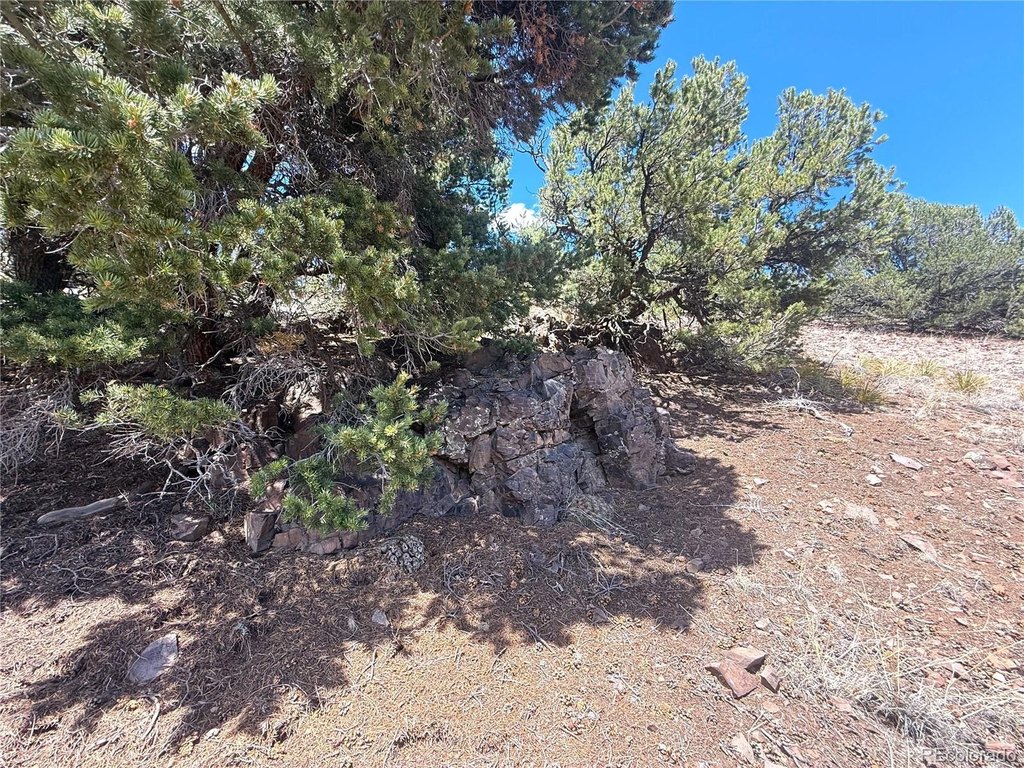 Picture 15