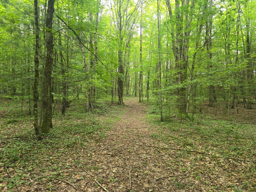 Picture 24