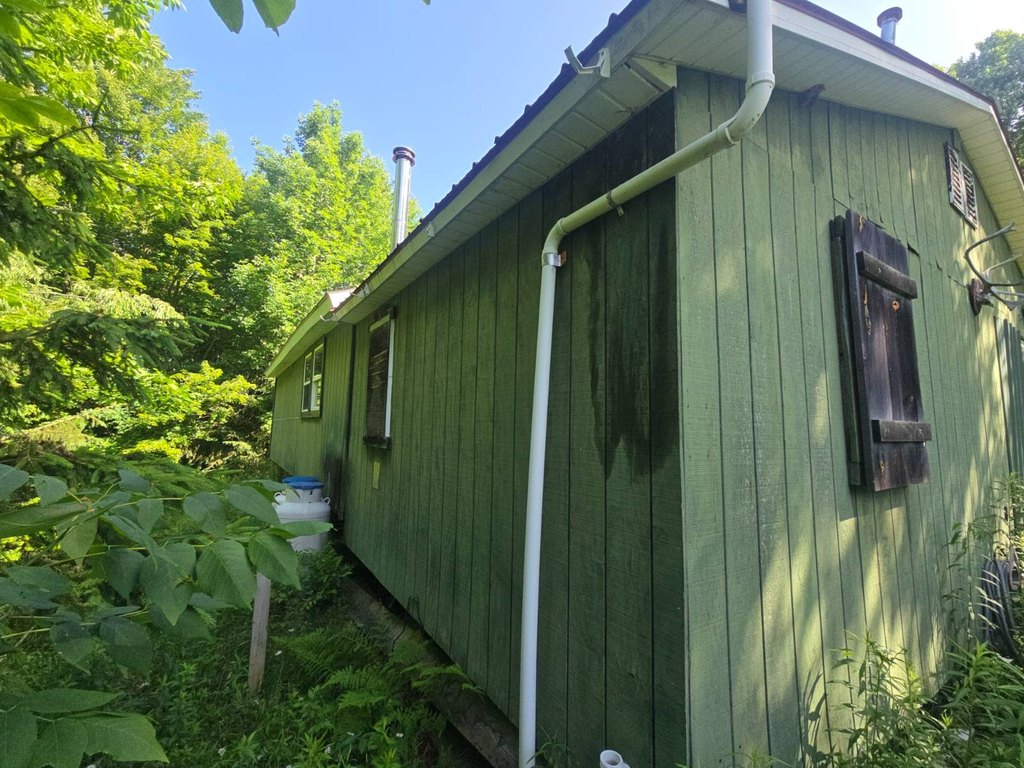 Picture 38